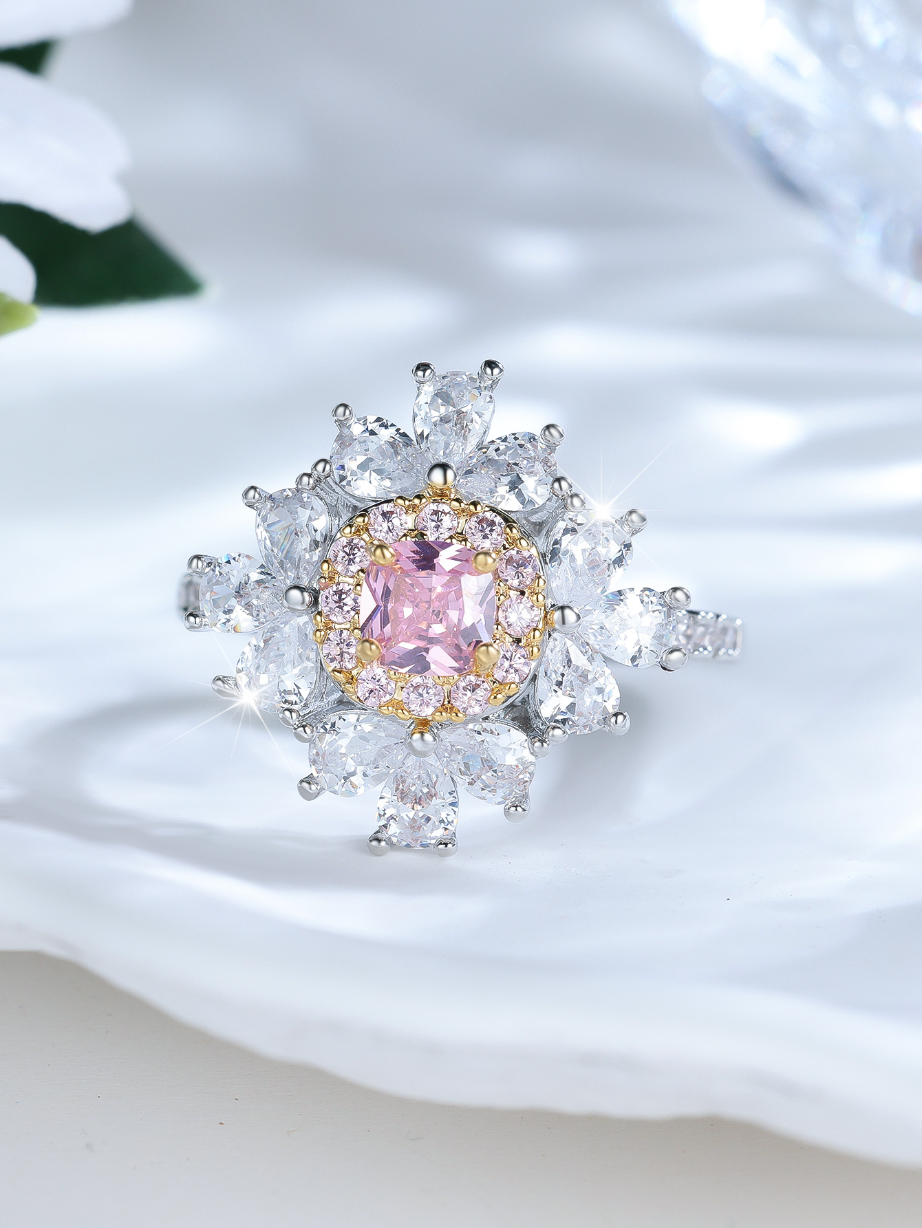 The Polaris Rosa Stella